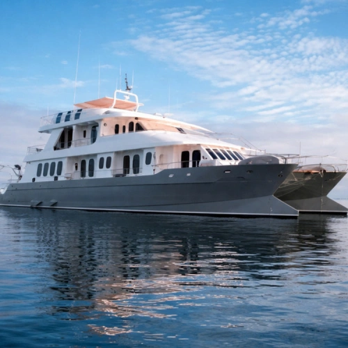 Alya Catamaran