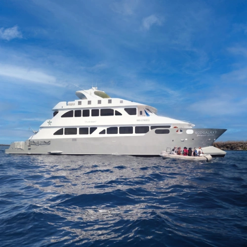 Ecogalaxy Catamaran